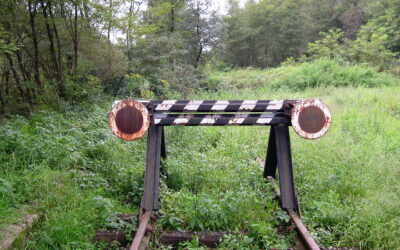 Favetta, UGL Ferrovieri: Per il settore ferroviario privato si corre su un binario morto, subito aiuti e risorse.